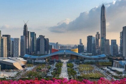 Tour por el mercado de Shenzhen Huaqiangbei con traducción