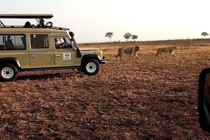 7Days 6 nights Private Budget Safari to Southern Circuit