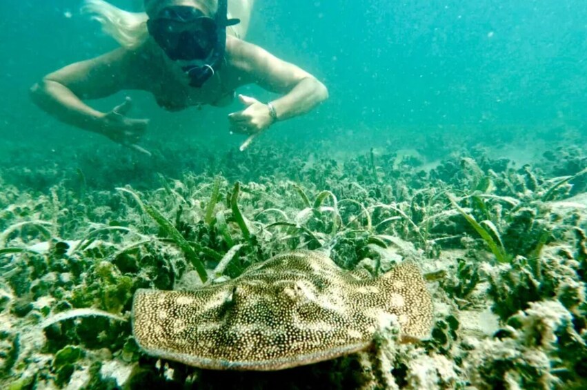 Guided Snorkel Experience with Free Videos - West Palm Beach