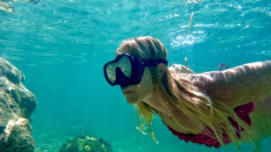 Guided Snorkel Experience with Free Videos - West Palm Beach