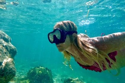 Guided Snorkel Experience with Free Videos - West Palm Beach