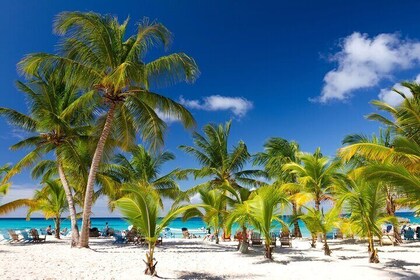 Saona Island Sailing Adventure in Catamaran from Santo Domingo