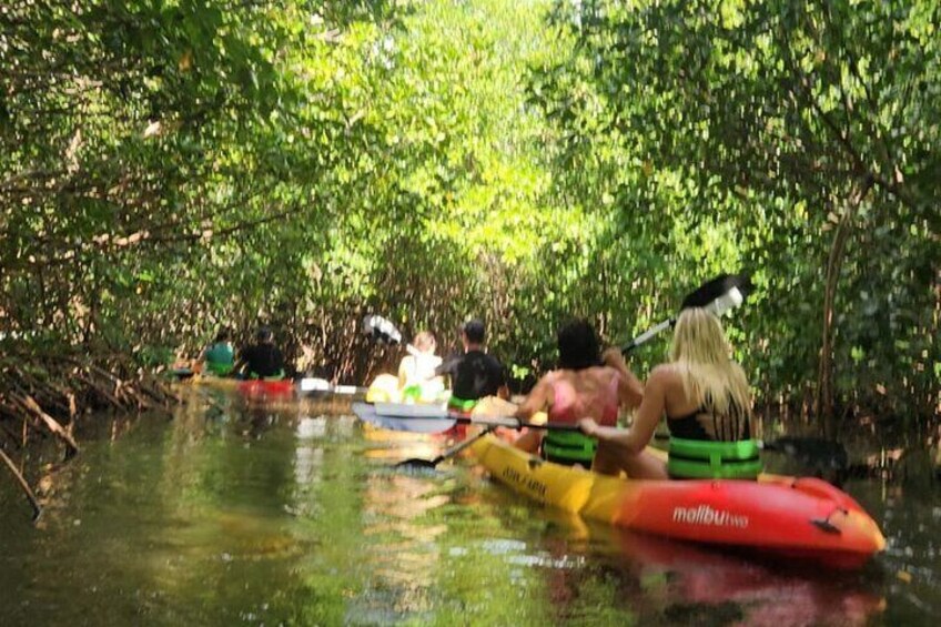 SoCoHo Eco Kayak and Snorkel 