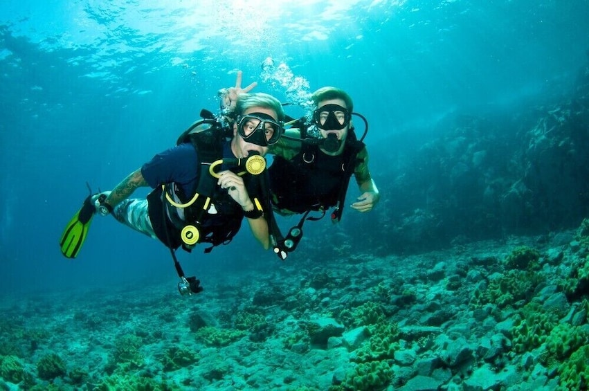 Guided Scuba Diving Tour for Beginners - West Palm Beach