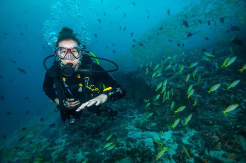 Guided Scuba Diving Tour for Beginners - West Palm Beach