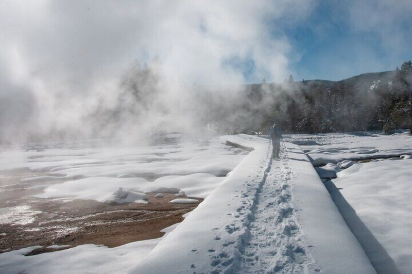 Winter Wildlife Safari in Yellowstone National Park