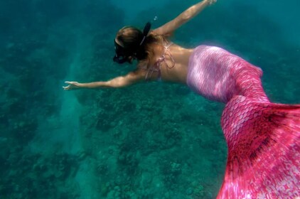 Mermaid Experience - Guided Snorkel and Photo Shoot