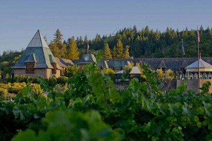 6 Hours Private Wine Tour in Healdsburg Featuring Coppola Winery