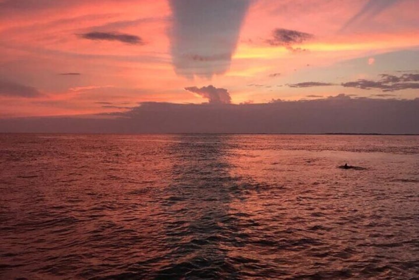 Sunset photo with Dolphin siting on the water in Destin aboard the SunVenture. 