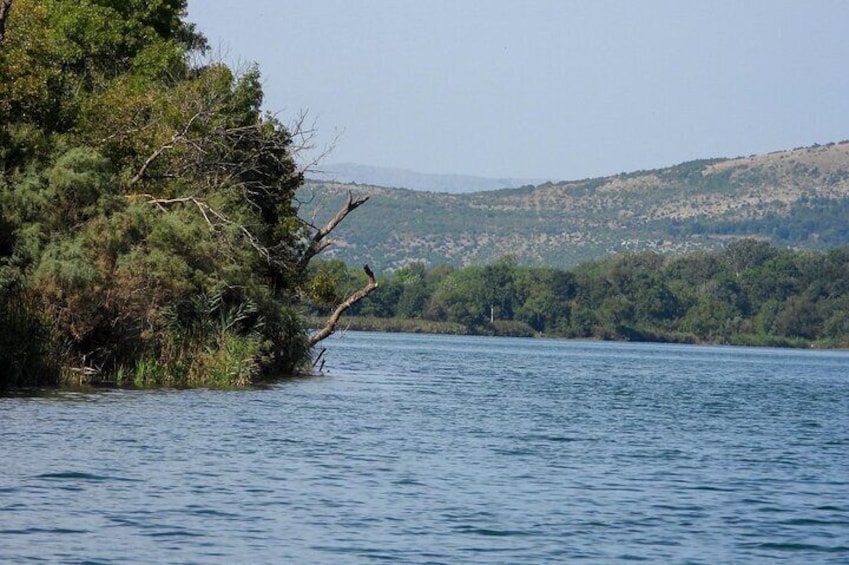 1 Hour Boat Trip Experience in Adabojana