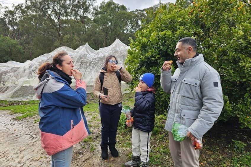 Family Day in the Yarra Valley Private Experience