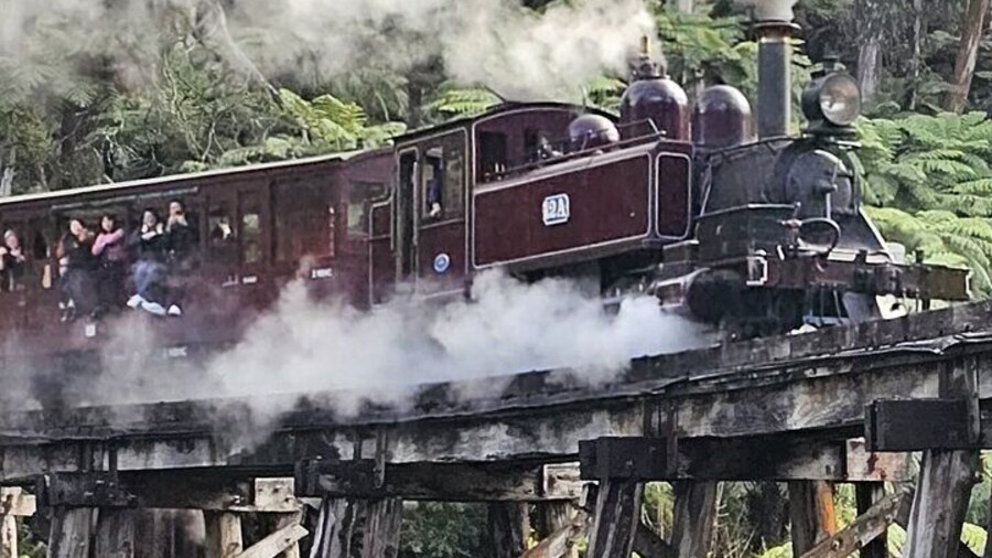 Puffing Billy and The Dandenong Ranges Private Experience