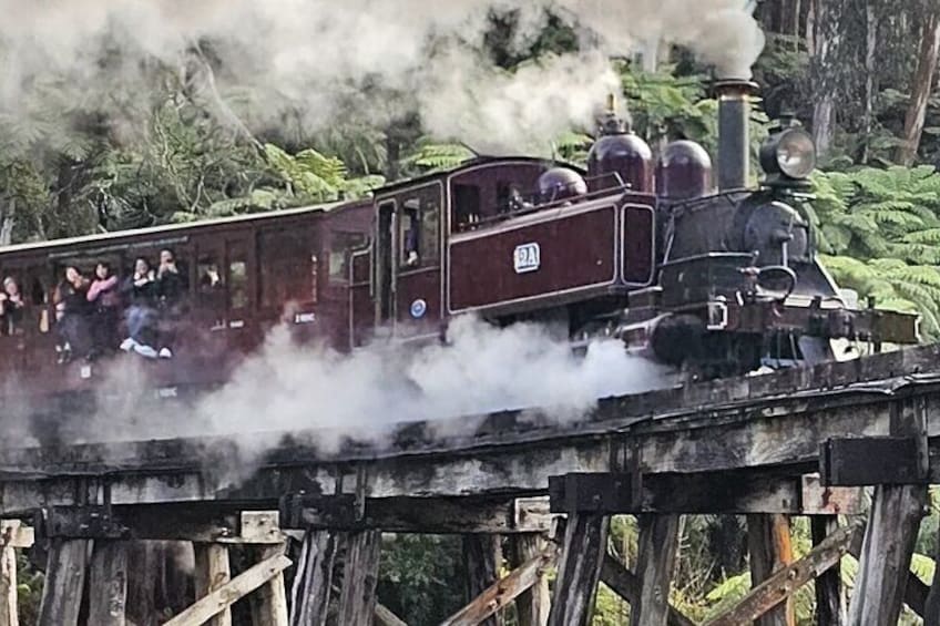 Puffing Billy and The Dandenong Ranges Private Experience