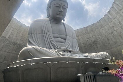 1 Day Tour to Hill of the Buddha, Sapporo and Sake