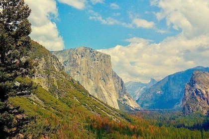 Private Day Tour to Yosemite National Park