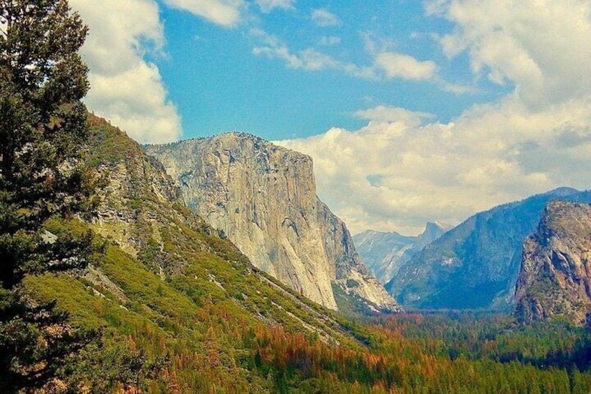 Private Day Tour to Yosemite National Park