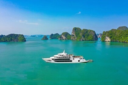 Tour di un giorno a Halong Bay: esperienza premium con crociera sul polpo d...