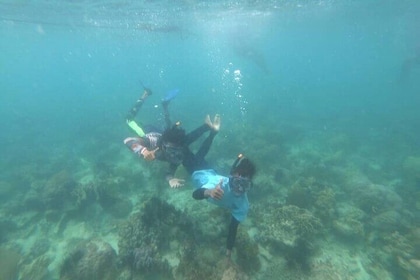 Private Batam Island Snorkelling and Canoe from Singapore