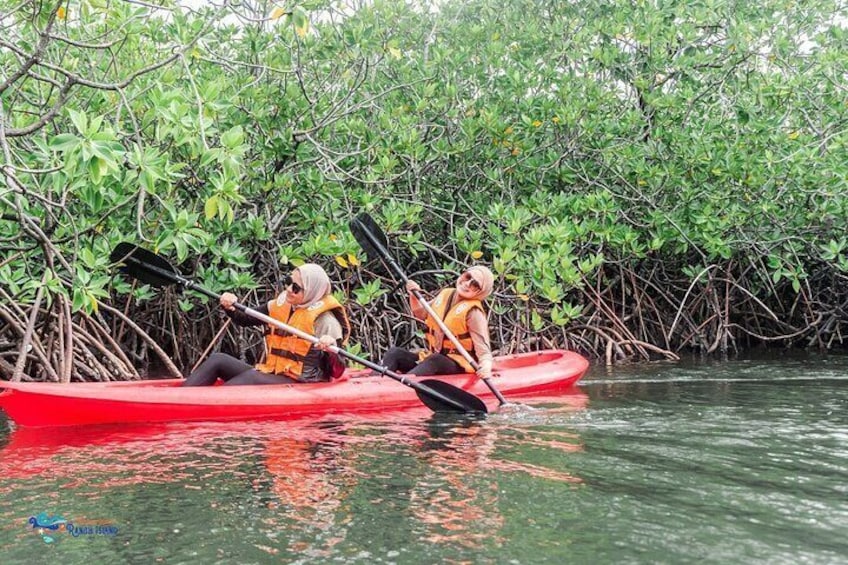 Batam Island Snorkeling and Canoe Private Tour from Singapore