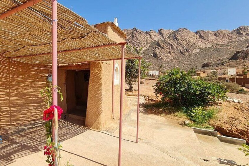 Agadir National Park and mini Sahara day trip