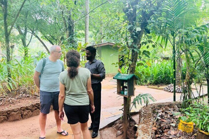 Unforgettable Experience on a Private Day Tour of Kandy City