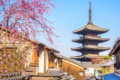 京都金閣寺・清水寺・抹茶体験ツアー