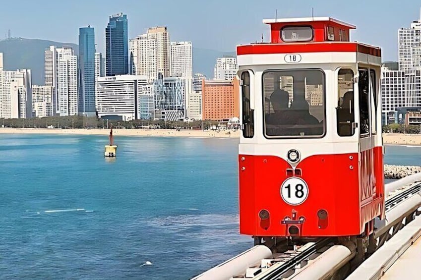 Busan City Top Attractions Full day Tour