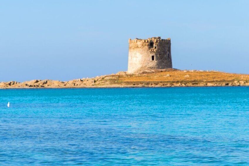 Stintino Half Day Catamaran Tour to La Pelosa with Aperitif