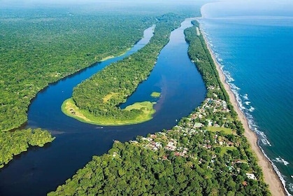 Tortuguero One Day Tour from San Jose. Semi Private small group