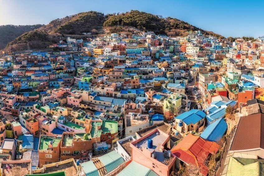Busan City Cruise Tour