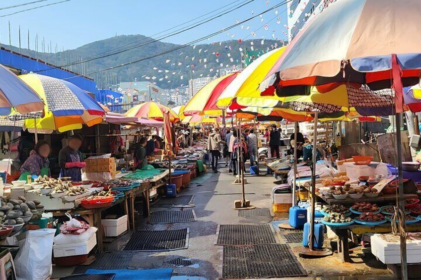 Busan City Cruise Tour