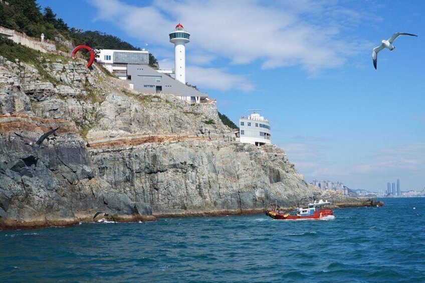 Busan City Cruise Tour