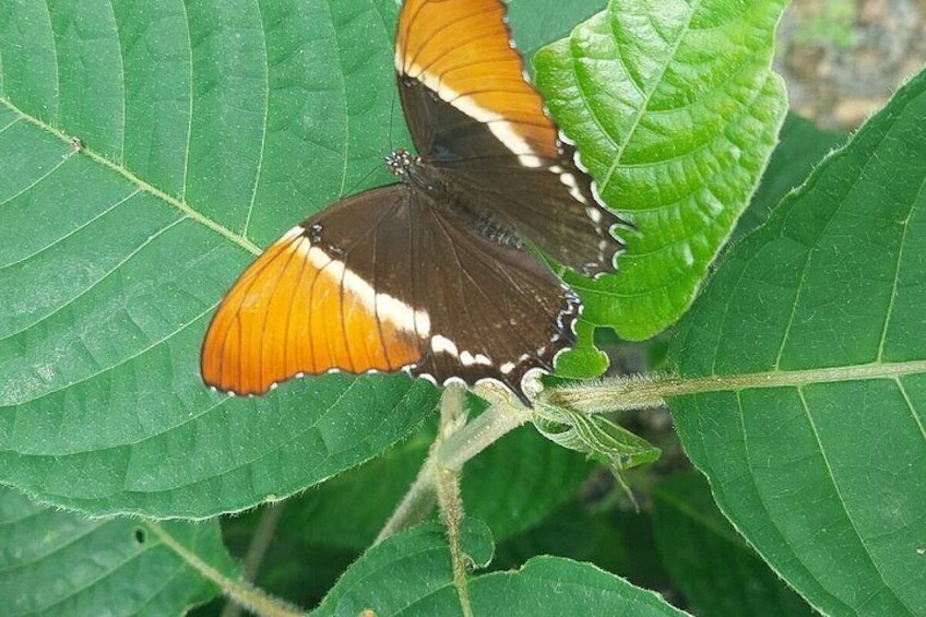 Private Guided Day Tour in Costa Rica