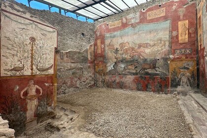 Pompeii and Wine Tasting from Amalfi Coast