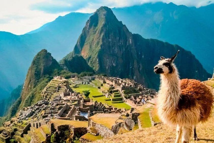 Machupicchu Full Day - Antisuyo Travel