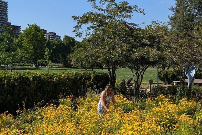 Bicentennial Park