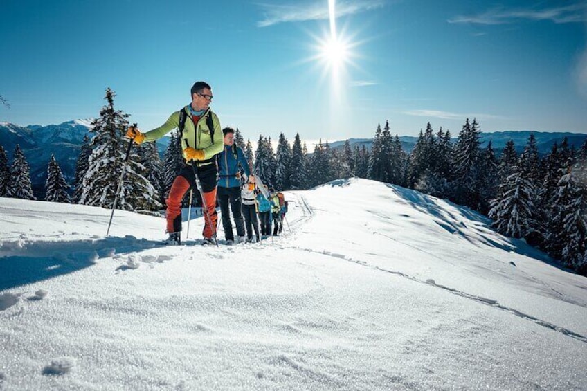 Private Guided Ski Touring Tours in Slovenia and Abroad