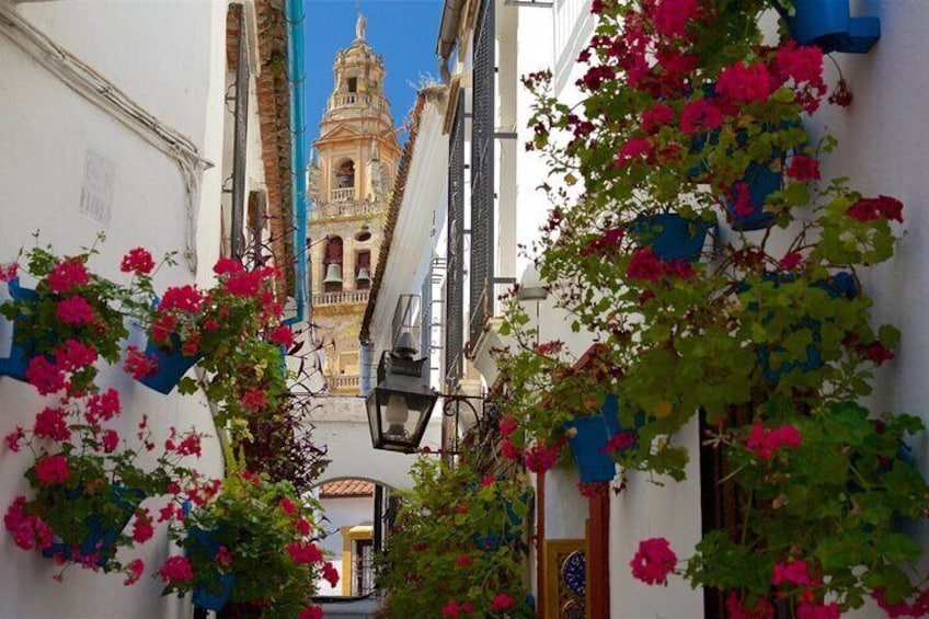 Private Healthy Food Experience and Walking Tour in Córdoba