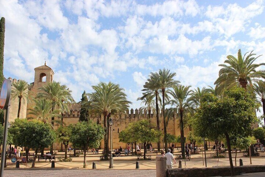 Private Healthy Food Experience and Walking Tour in Córdoba