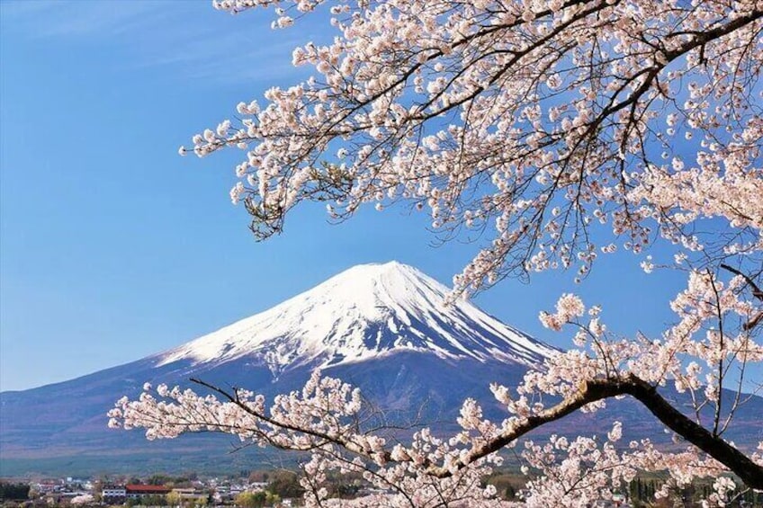 Nikko Private Day Tour by Car with Pick up from Tokyo