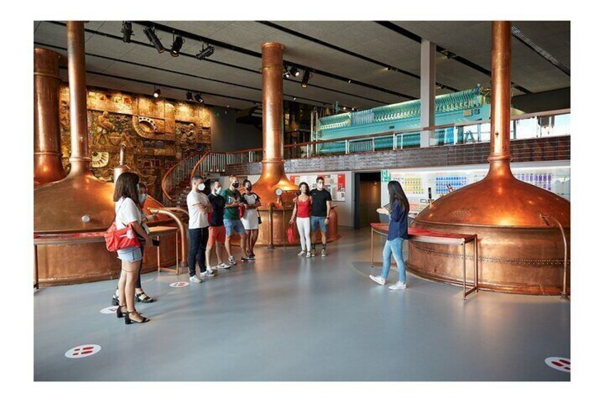 Guided Visit to the Estrella Galicia Museum with Cheese Pairing