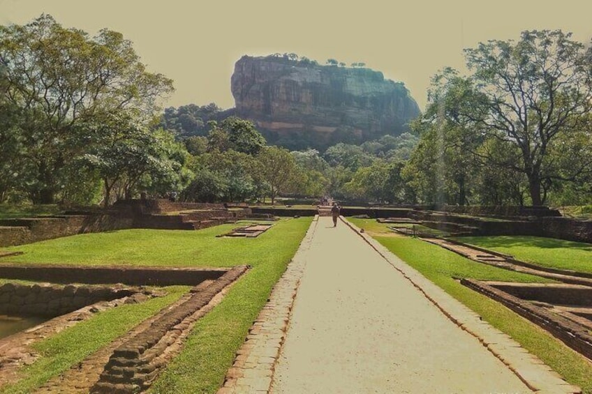 Ceylon Up Country TEA, SIGIRIYA & Ella with Train Ride[B&B Basis]