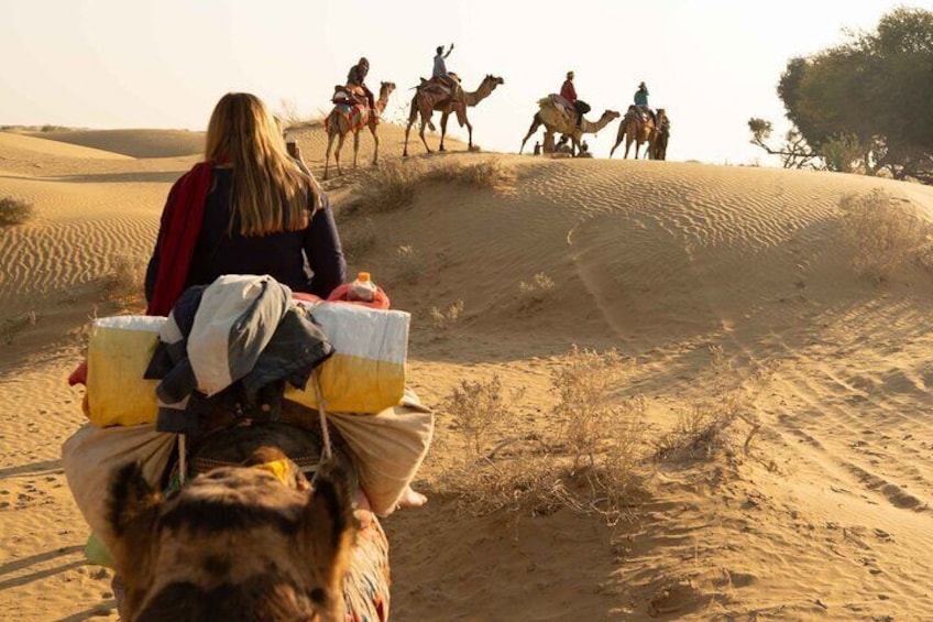 Get to know the desert on a camel ride