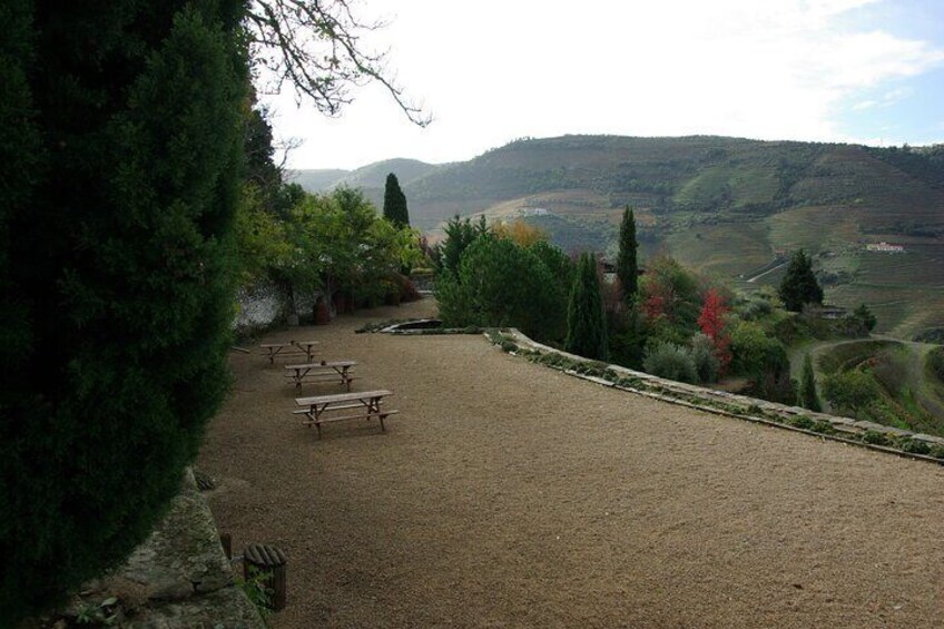 Upper Douro Valley Wine Tour