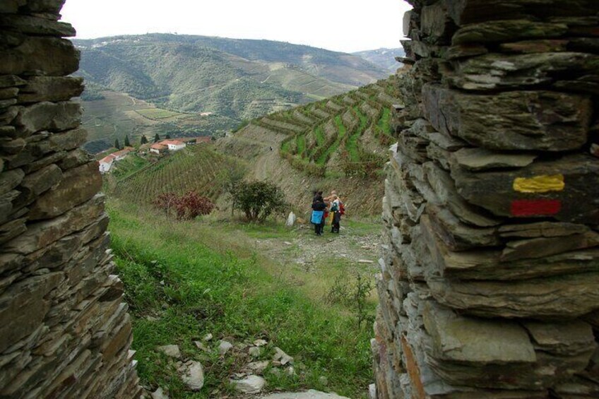 Upper Douro Valley Wine Tour