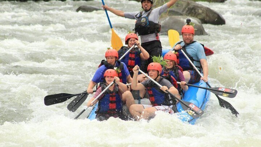 Arenal Combo Feelings: Adrenaline Rafting & Monkey Farm Experience