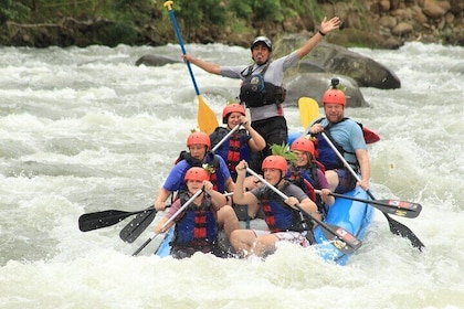 Arenal Combo Feelings: Adrenaline Rafting & Monkey Farm Experience