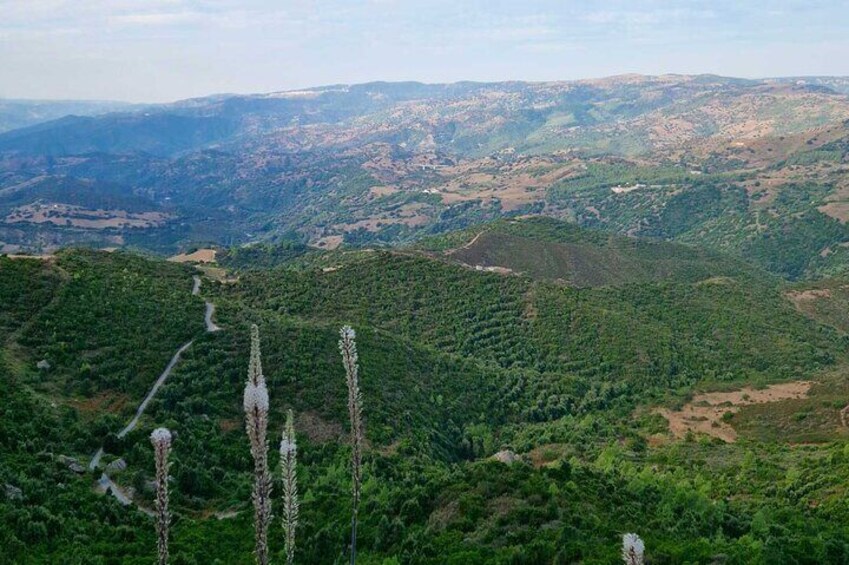 Lula Monte Albo Hiking Tour