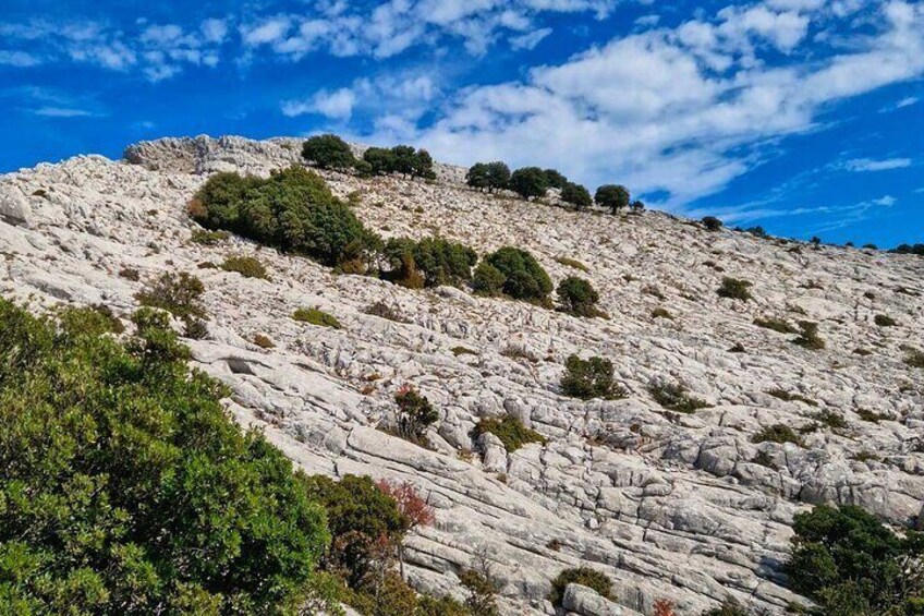 Lula Monte Albo Hiking Tour