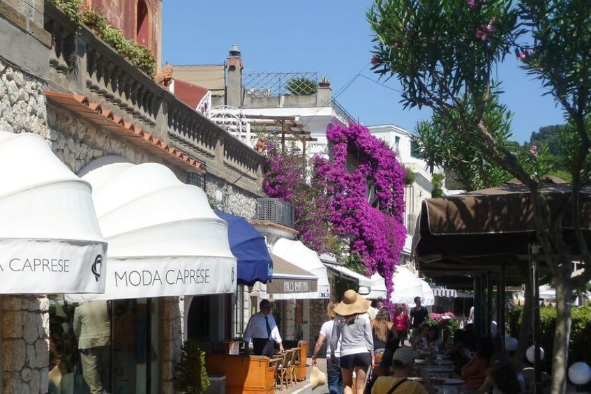 Capri island - Pompeii